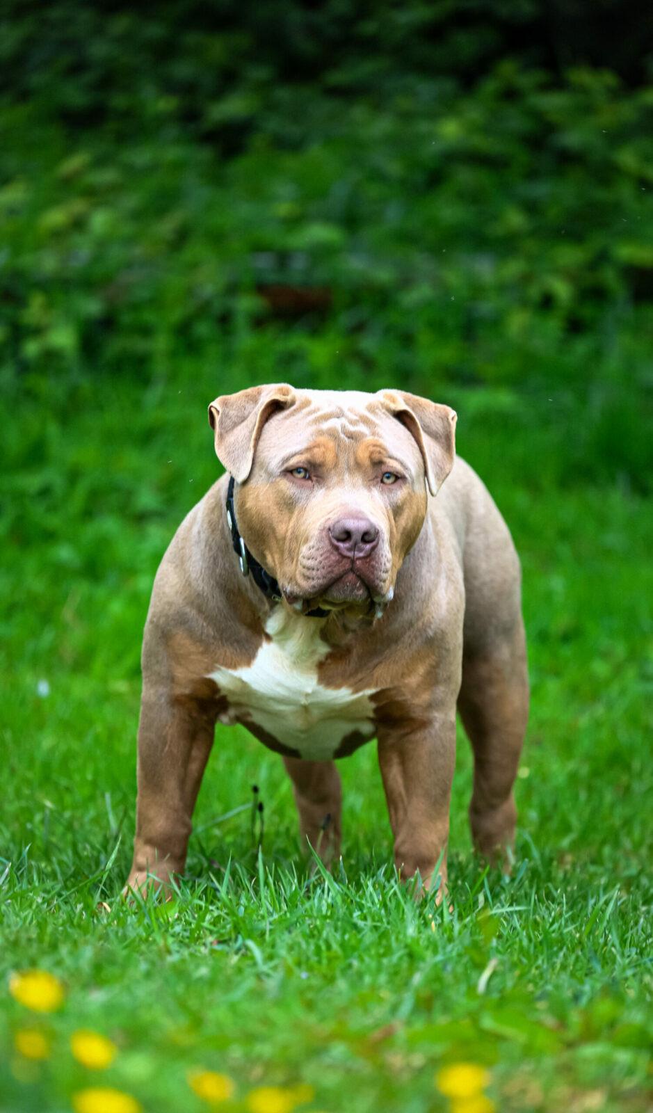Futur 6