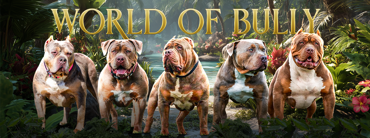 World of Bully Bannière