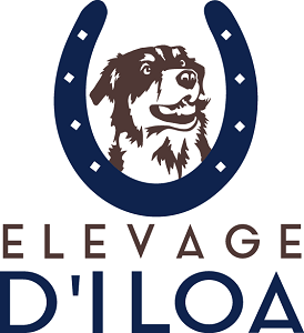 Logo Élevage d'Iloa
